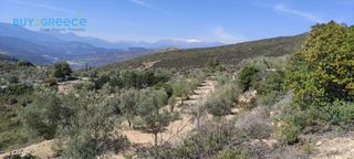 Αγροτεμάχια 16.248 τ.μ. για πώληση, Κορινθία, Νεμέα-thumb-9
