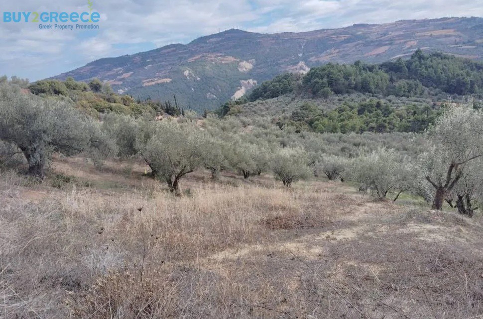 Αγροτεμάχια 27.857 τ.μ. προς πώληση, Μποζικάς