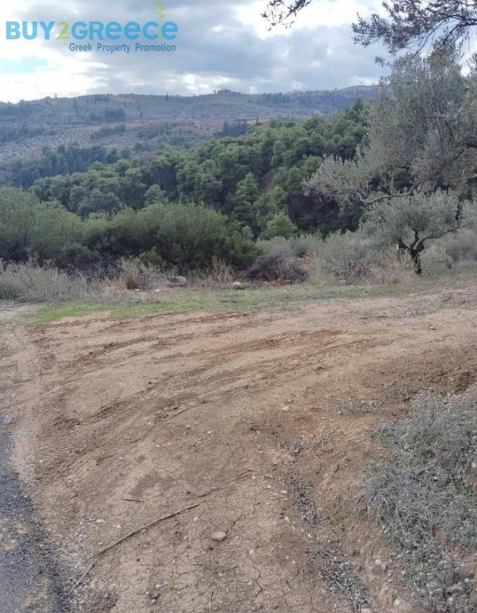 Αγροτεμάχια 27.857 τ.μ. προς πώληση, Μποζικάς