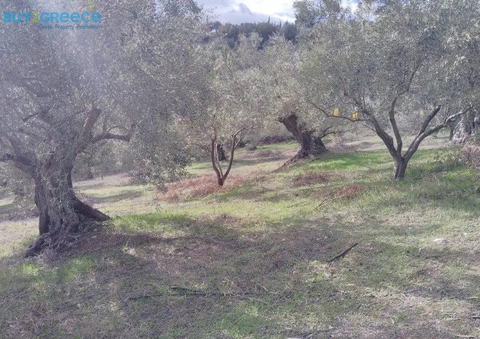 Αγροτεμάχια 27.857 τ.μ. προς πώληση, Μποζικάς