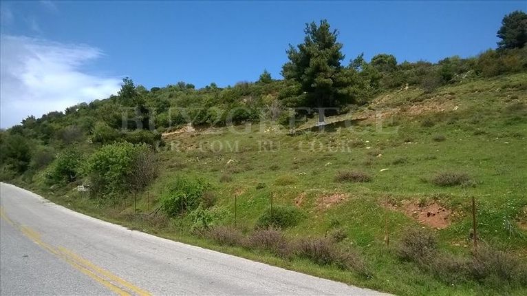 Parcel 14.050 sqm for sale, Evia, Amarinthos