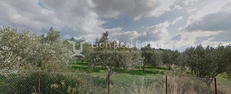 Parcel 8.000sqm for sale-Palaia Fokaia » Κέντρο