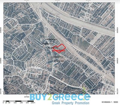 Οικόπεδο 4.000τ.μ. για πώληση-Αιγιάλεια