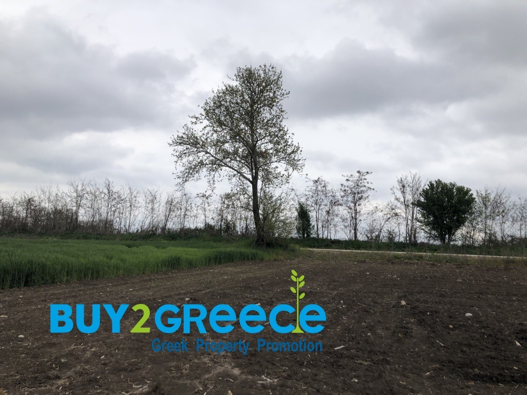 Αγροτεμάχια 4.010 τ.μ. πρός πώληση, Ν. Δράμας, Σιταγροί