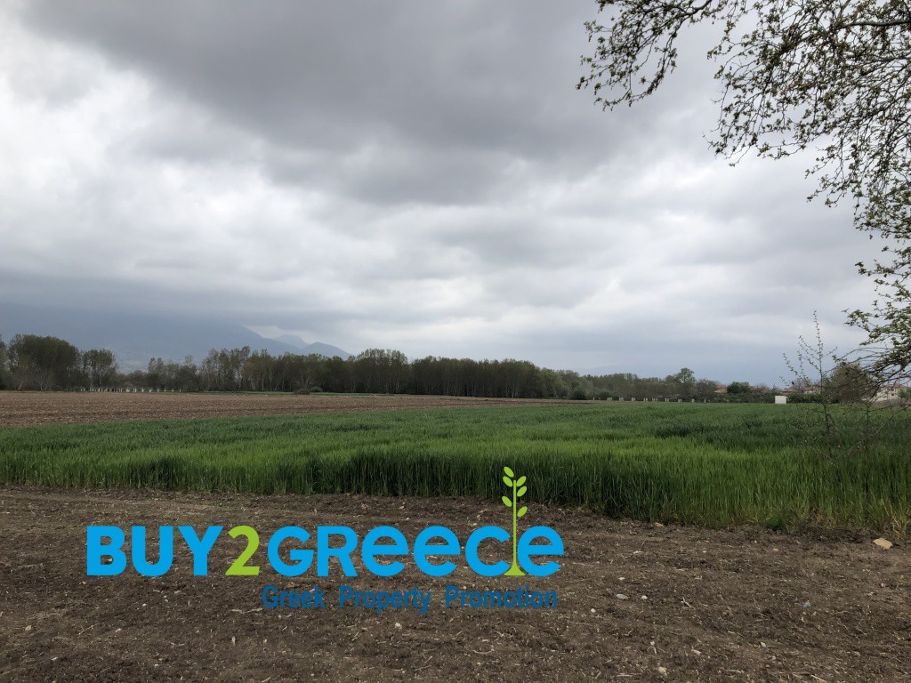 Αγροτεμάχια 4.010 τ.μ. πρός πώληση, Ν. Δράμας, Σιταγροί