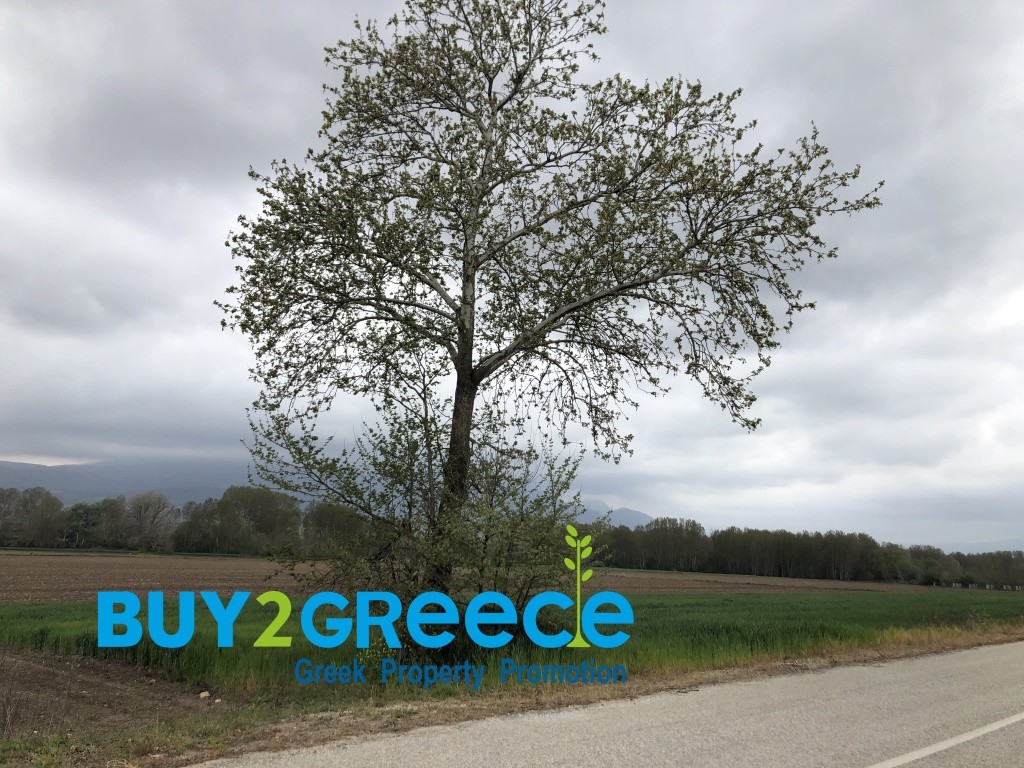 Αγροτεμάχια 4.010 τ.μ. πρός πώληση, Ν. Δράμας, Σιταγροί