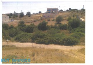 Οικόπεδο 2.005 τ.μ. για πώληση, Αργολίδα, Κρανίδι-thumb-13