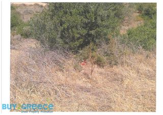 Οικόπεδο 2.005 τ.μ. για πώληση, Αργολίδα, Κρανίδι-thumb-11