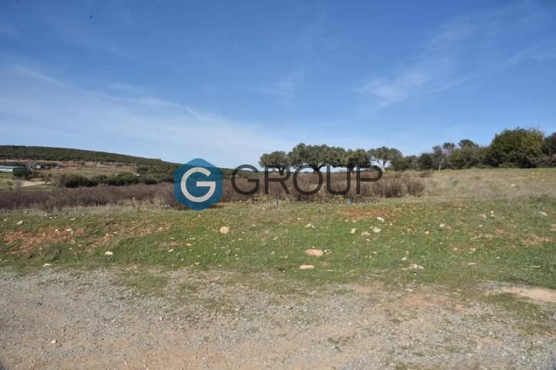 Αγροτεμάχια 8.000 τ.μ. πρός πώληση, Εβρος, Αλεξανδρούπολη