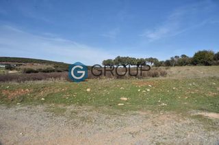 Αγροτεμάχια 8.000 τ.μ. για πώληση