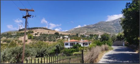 Οικόπεδο 3.300 τ.μ. για πώληση