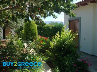 Μονοκατοικία 62 τ.μ. προς πώληση, Ερέτρια Εύβοιας-thumb-9