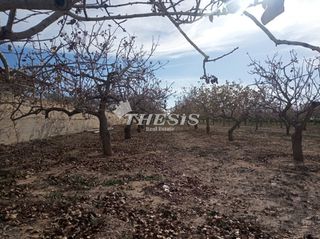 Αγροτεμάχια 5.000 τ.μ. για πώληση
