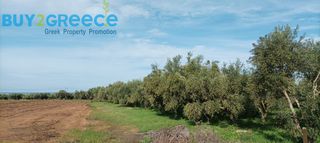 Αγροτεμάχια 2.560 τ.μ. για πώληση