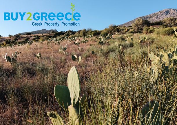 Αγροτεμάχια 20.000 τ.μ. για πώληση, Νησιά Αργοσαρωνικού, Τροιζήνα