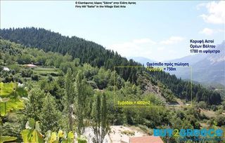Αγροτεμάχια 4.802 τ.μ. για πώληση