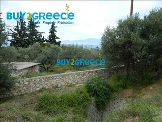 Κτίριο 600 τ.μ. προς πώληση, Διμηνιό-thumb-23
