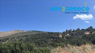 Αγροτεμάχια 15.500 τ.μ. προς πώληση, Νιμπορειό-thumb-5
