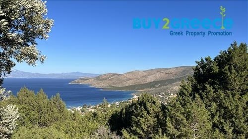 Αγροτεμάχια 15.500 τ.μ. προς πώληση, Νιμπορειό