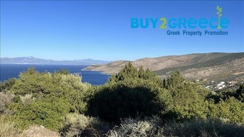 Αγροτεμάχια 15.500 τ.μ. προς πώληση, Νιμπορειό