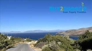 Αγροτεμάχια 15.500 τ.μ. για πώληση