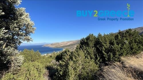 Αγροτεμάχια 15.500 τ.μ. προς πώληση, Νιμπορειό