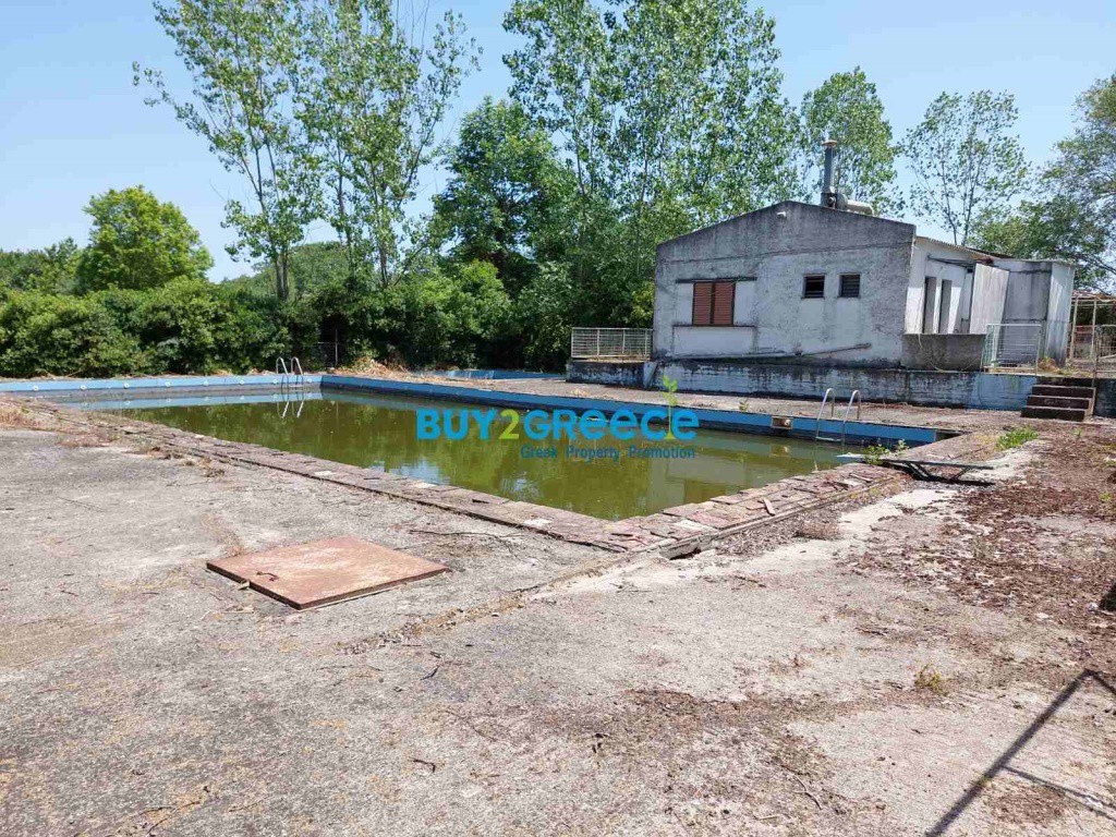 Οικόπεδο 4.623 τ.μ. προς πώληση, Ολυμπιάδα Χαλκιδικής