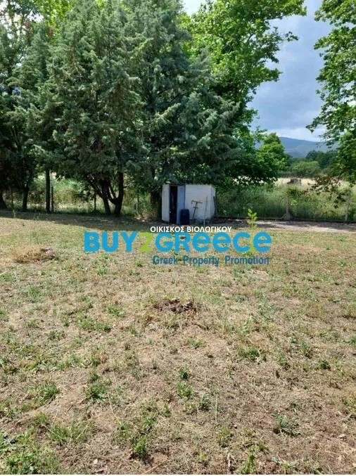 Οικόπεδο 4.623 τ.μ. προς πώληση, Ολυμπιάδα Χαλκιδικής