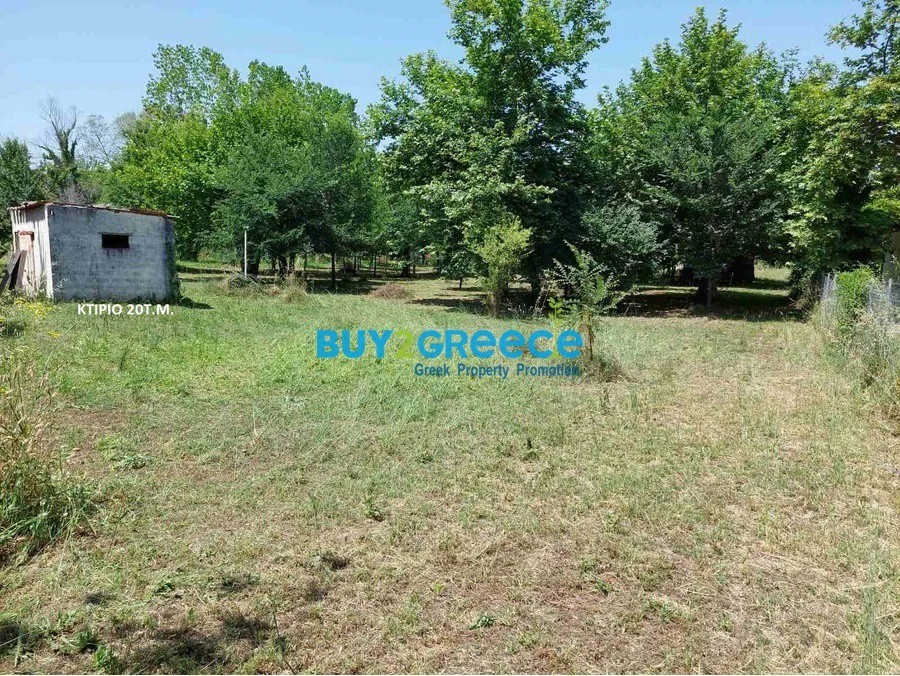 Οικόπεδο 4.623 τ.μ. προς πώληση, Ολυμπιάδα Χαλκιδικής