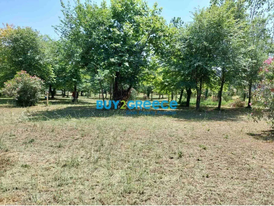 Οικόπεδο 4.623 τ.μ. προς πώληση, Ολυμπιάδα Χαλκιδικής