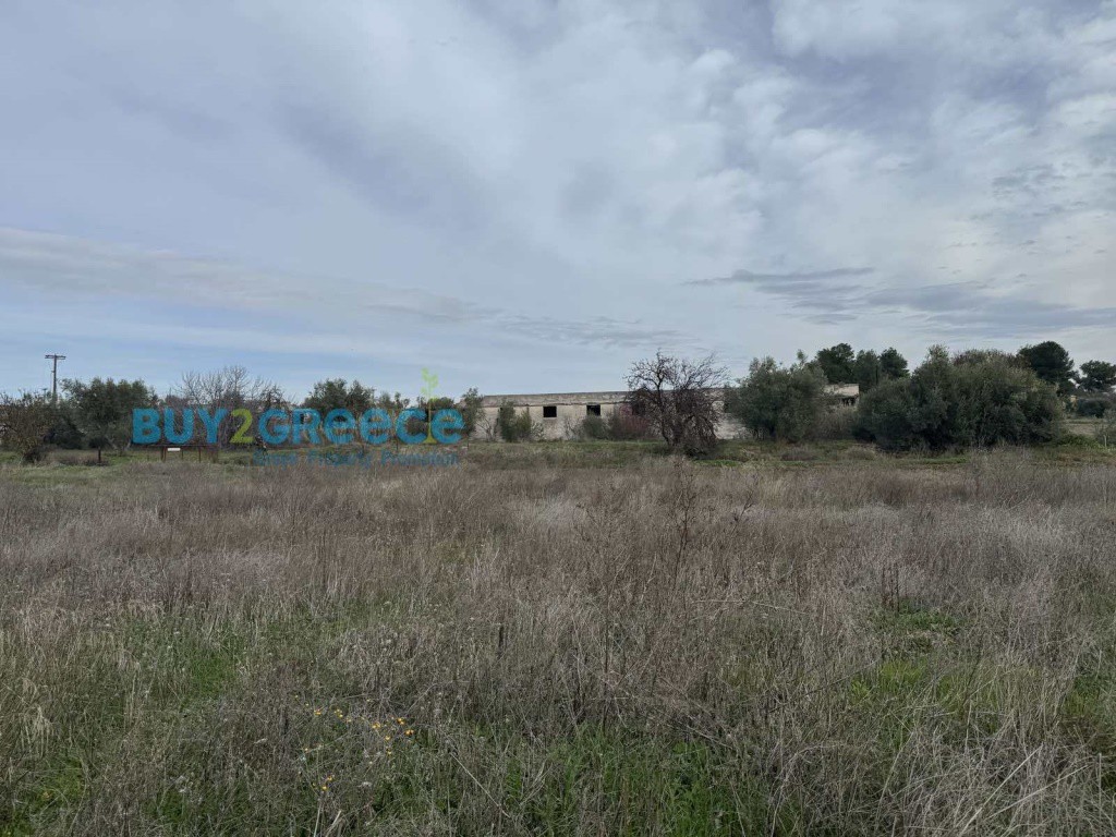 Αγροτεμάχια 9.000 τ.μ. προς πώληση, Σχηματάρι