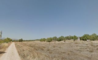 Αγροτεμάχια 9.000 τ.μ. για πώληση