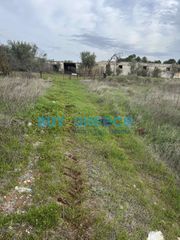 Αγροτεμάχια 9.000 τ.μ. προς πώληση, Σχηματάρι-thumb-11