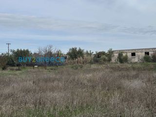 Αγροτεμάχια 9.000 τ.μ. προς πώληση, Σχηματάρι-thumb-8