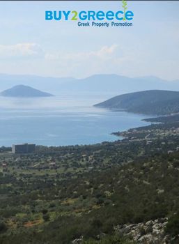 Οικόπεδο 5.500τ.μ. για πώληση-Κρανίδι