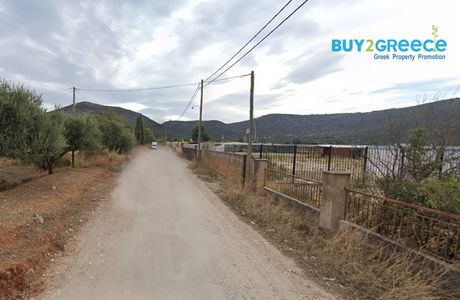 Αγροτεμάχια 2.998 τ.μ. για πώληση