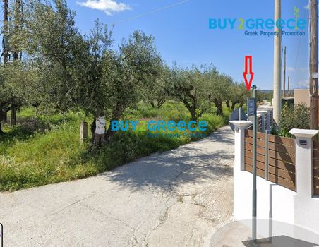 Οικόπεδο 5.314τ.μ. για πώληση-Αρτεμίσιο