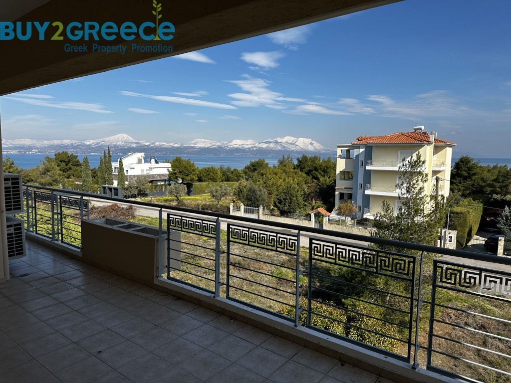 Βίλλα 540 τ.μ. πρός πώληση, Βοιωτία, Οινόφυτα