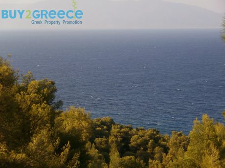 Οικόπεδο 1.045τ.μ. για πώληση-Μαλεσίνα