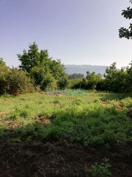 Land plot 1.000sqm for sale-Pamvotida