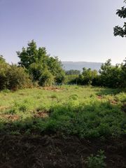Οικόπεδο 1.000 τ.μ. για πώληση