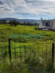 Οικόπεδο 2.040 τ.μ. για πώληση, Αργολίδα, Κρανίδι-thumb-7