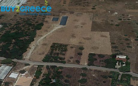 Αγροτεμάχια 13.600 τ.μ. για πώληση