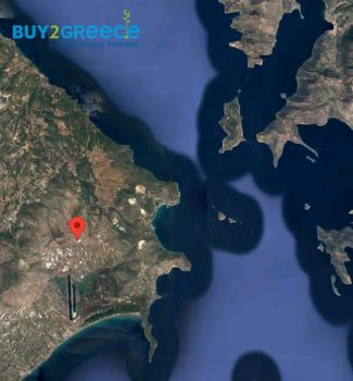 Αγροτεμάχια 16.000 τ.μ. για πώληση
