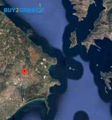 Αγροτεμάχια 16.000 τ.μ. πρός πώληση