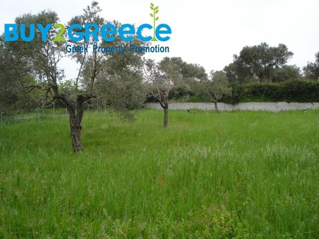 Οικόπεδο 1.041τ.μ. για πώληση-Κύμη