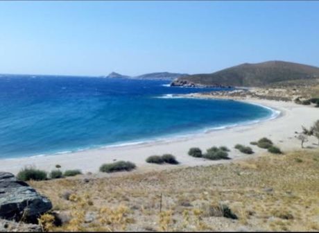 Αγροτεμάχια 9.800 τ.μ. για πώληση