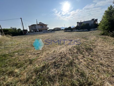 Land plot 1.000sqm for sale-Lilantio