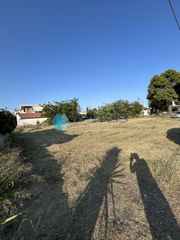 Οικόπεδο 1.000 τ.μ. για πώληση, Εύβοια, Ληλάντιο-thumb-1