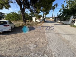 Οικόπεδο 1.000 τ.μ. για πώληση, Εύβοια, Ληλάντιο-thumb-6
